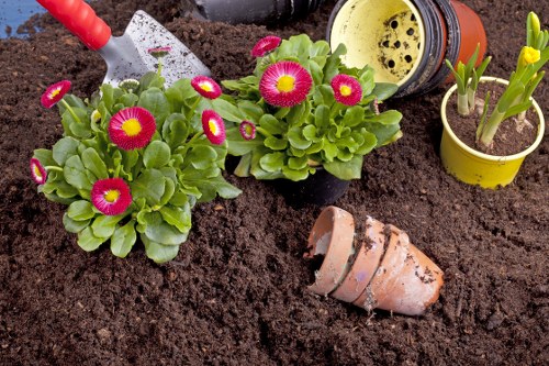 Front view of a gardener tending a suburban Yiewsley garden with tools
