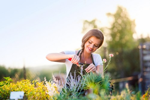 Gardener at work in Yiewsley front garden