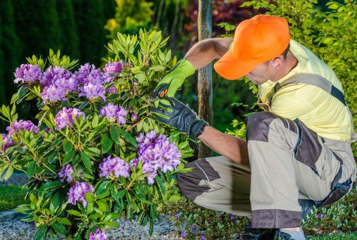 Gardeners Yiewsley team working in a small suburban garden