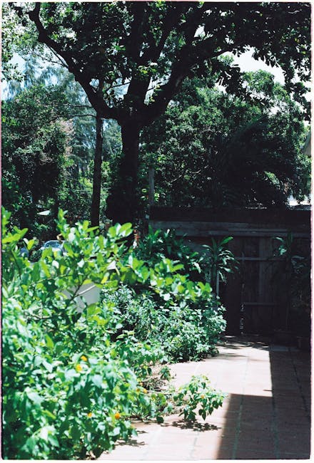 A narrow garden pathway bordered by lush green plants and bushes on the left, with some leaves and small yellow flowers visible. The pathway is made of paving stones, partially shaded by a large, matu